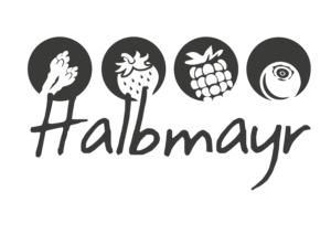 Home logo halbmayr.pdf